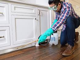 Best Pest Prevention Services  in Fairport, NY